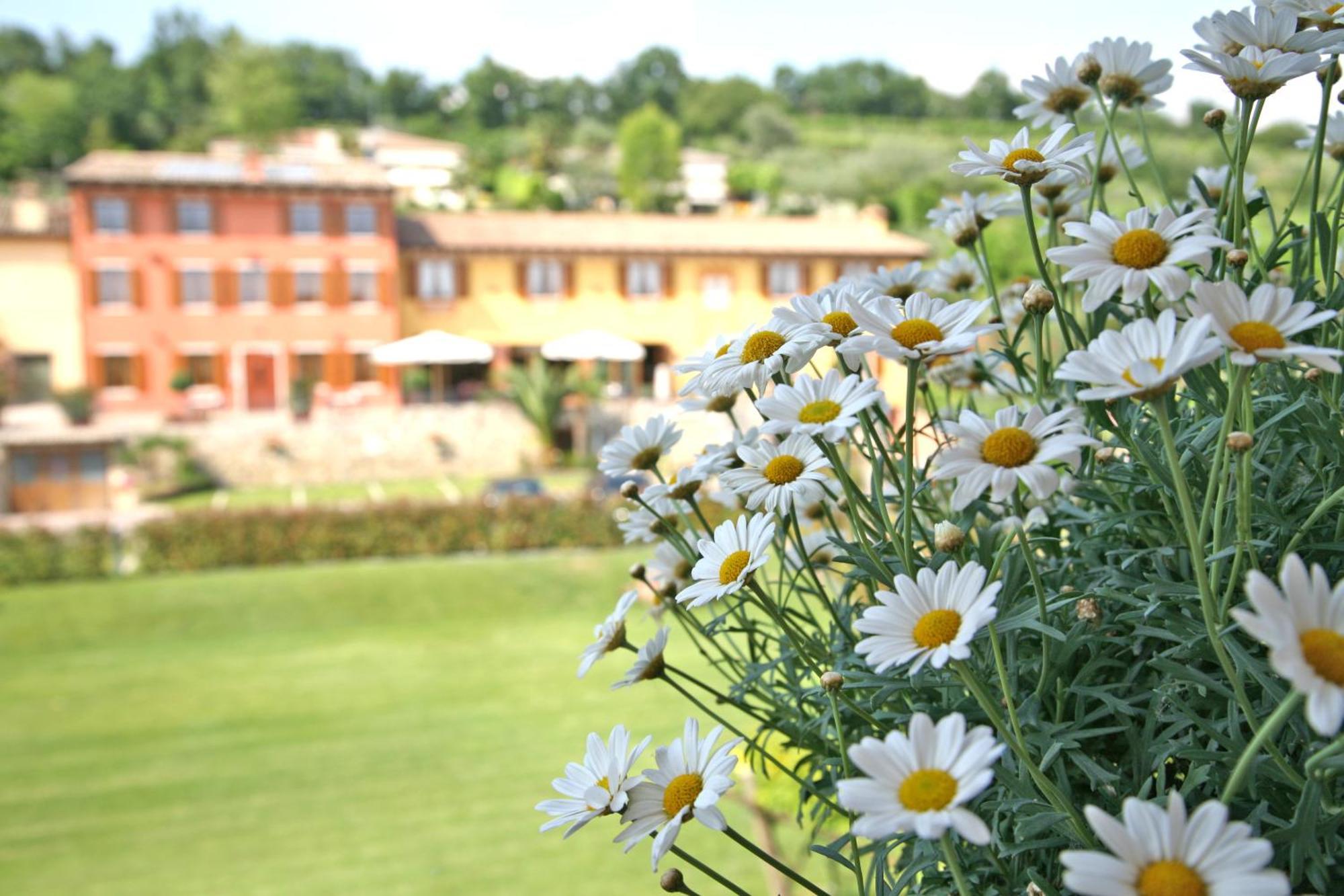 La Zerla Bed & Breakfast Bardolino Exterior photo